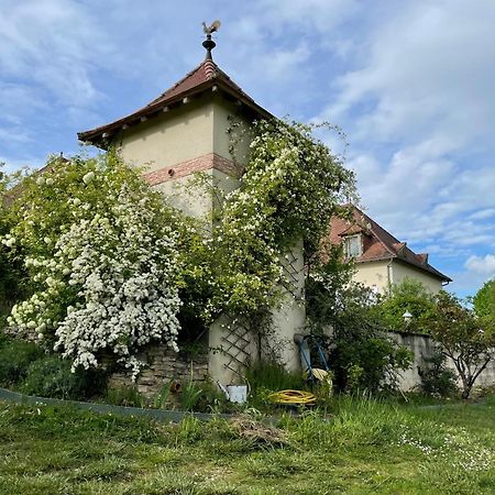 La Maison Du Parc Saint-Raphael  Ngoại thất bức ảnh
